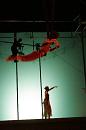 vertige du papillon 010 * 2336 x 3504 * (3.48MB)
